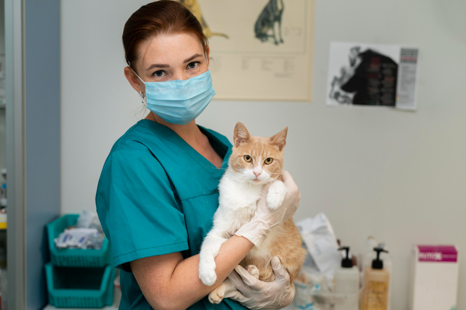 ветеринар з котом